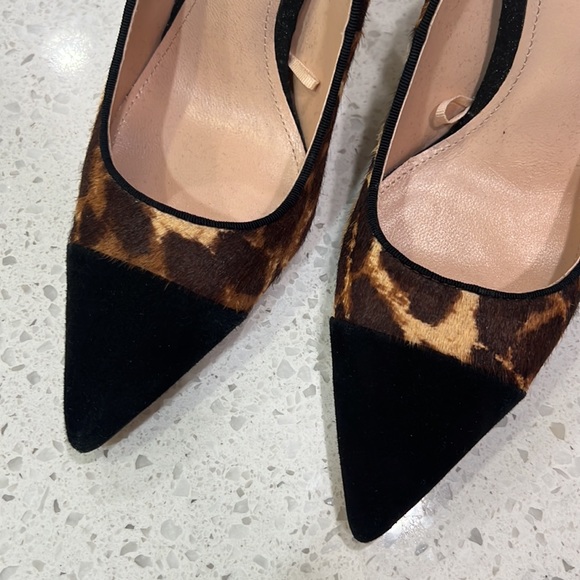 ZARA leopard pumps. Size 36 - Picture 3 of 12